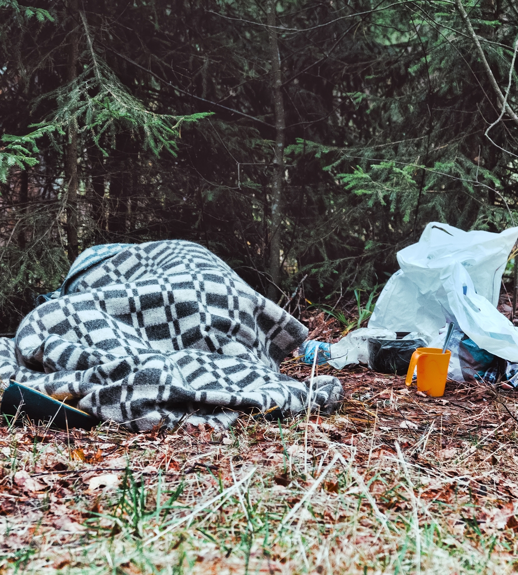 Homeless Camping
