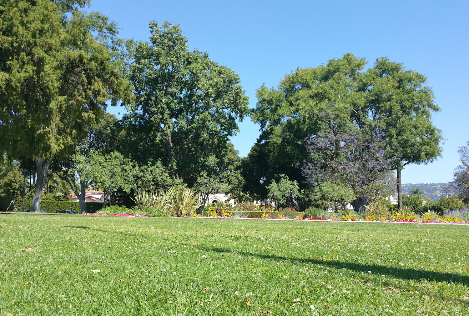 Beverly Hills Garden